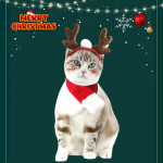 Khăn quàng cổ và cài tuần lộc xinh xắn