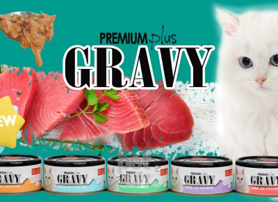 Danh Sách Cửa Hàng Phân Phối Pate lon Aristo-Cats