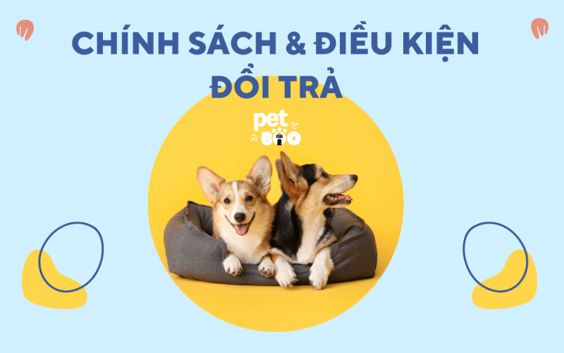 CHÍNH SÁCH VÀ ĐIỀU KIỆN ĐỔI TRẢ