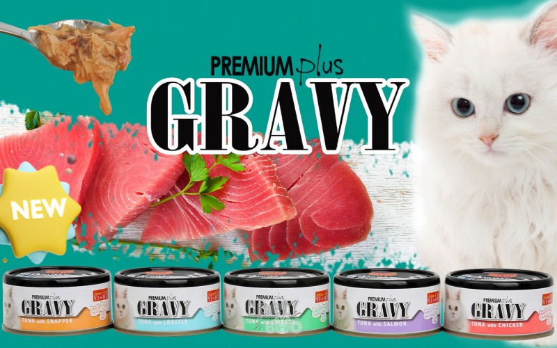 Danh Sách Cửa Hàng Phân Phối Pate lon Aristo-Cats