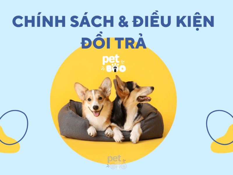 CHÍNH SÁCH VÀ ĐIỀU KIỆN ĐỔI TRẢ