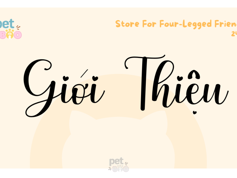 GIỚI THIỆU