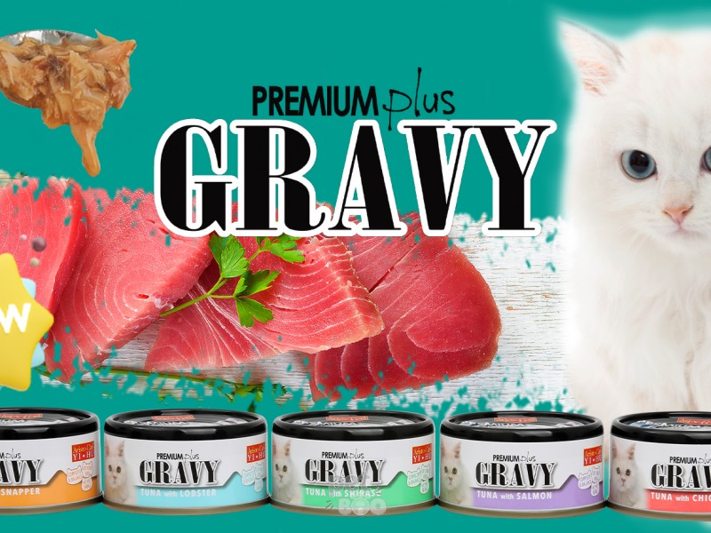 Danh Sách Cửa Hàng Phân Phối Pate lon Aristo-Cats