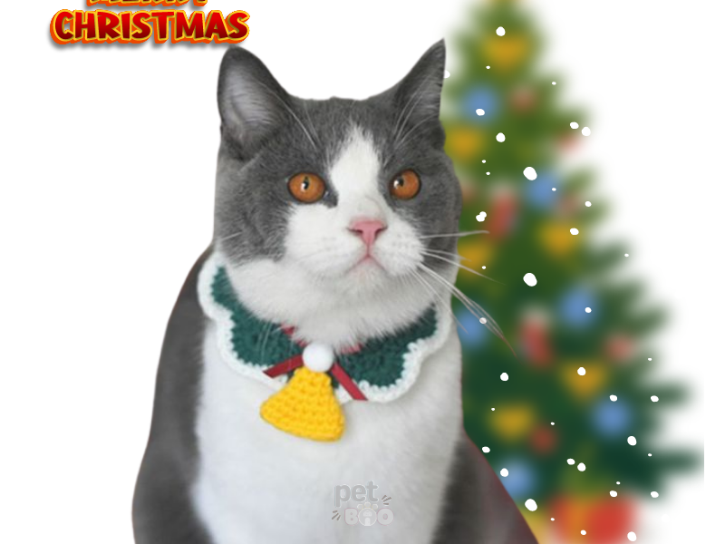 Vòng cổ mốc len hình quả chuông