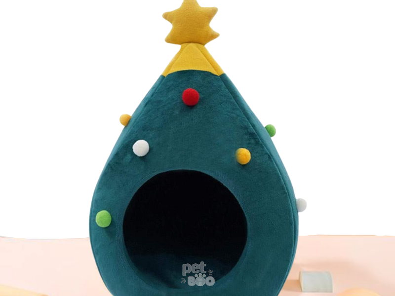 Ổ giáng sinh hình cây thông