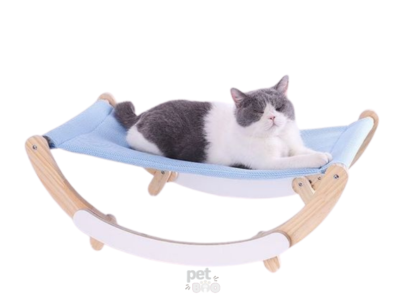 Võng mèo bập bênh