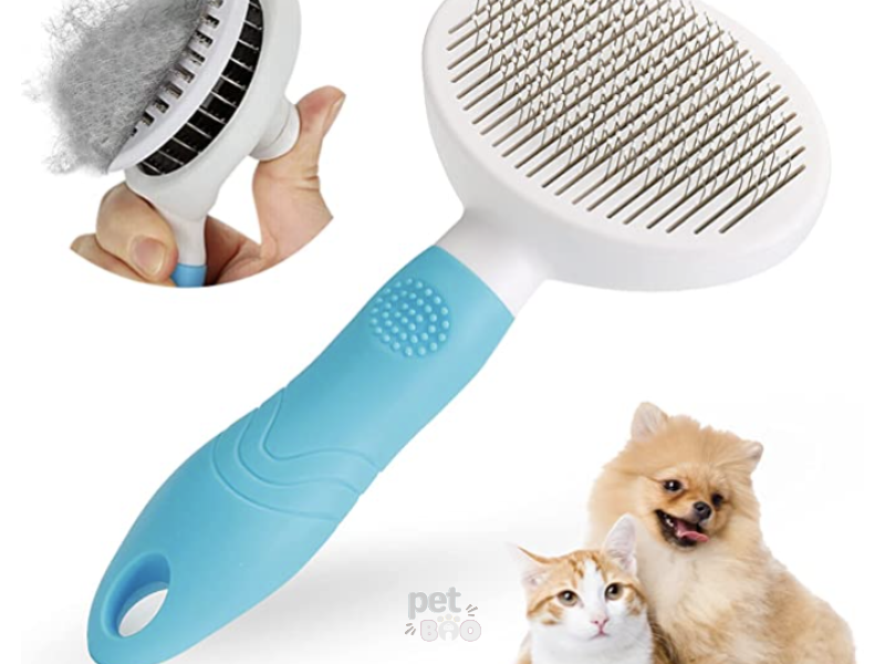 Lược chải cho Pet lông ngắn