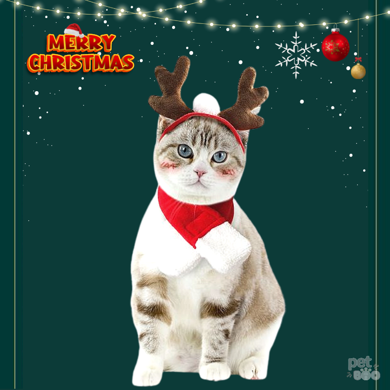 Khăn quàng cổ và cài tuần lộc xinh xắn