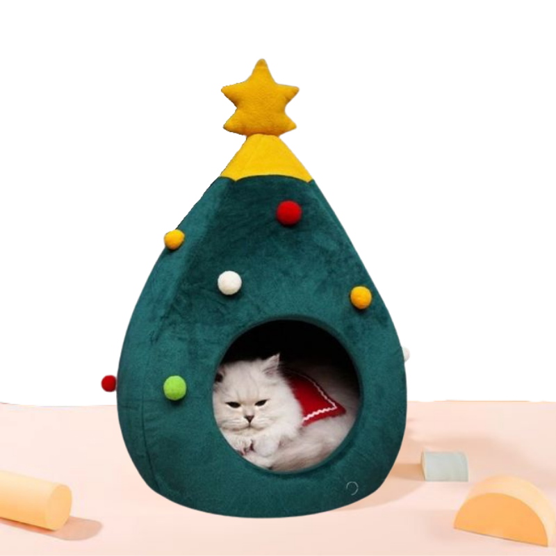 Ổ giáng sinh hình cây thông