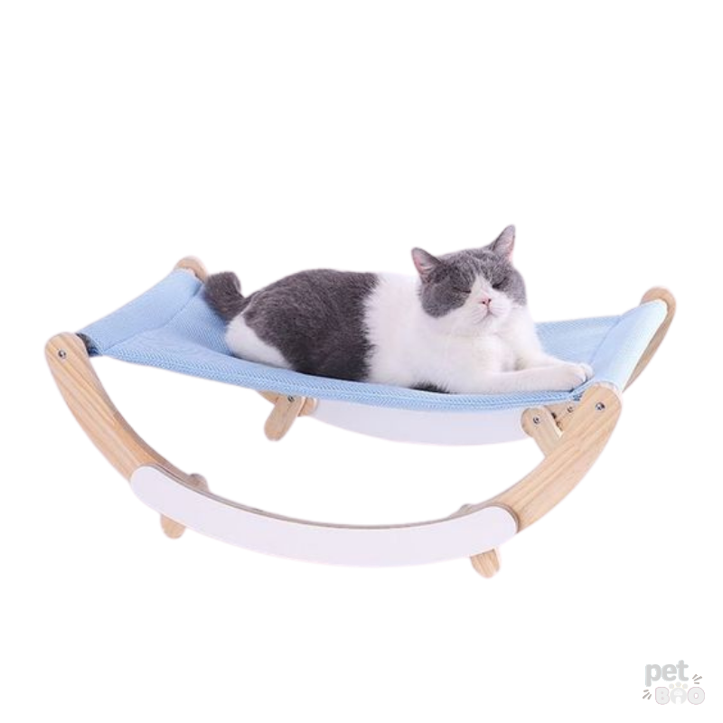 Võng mèo bập bênh