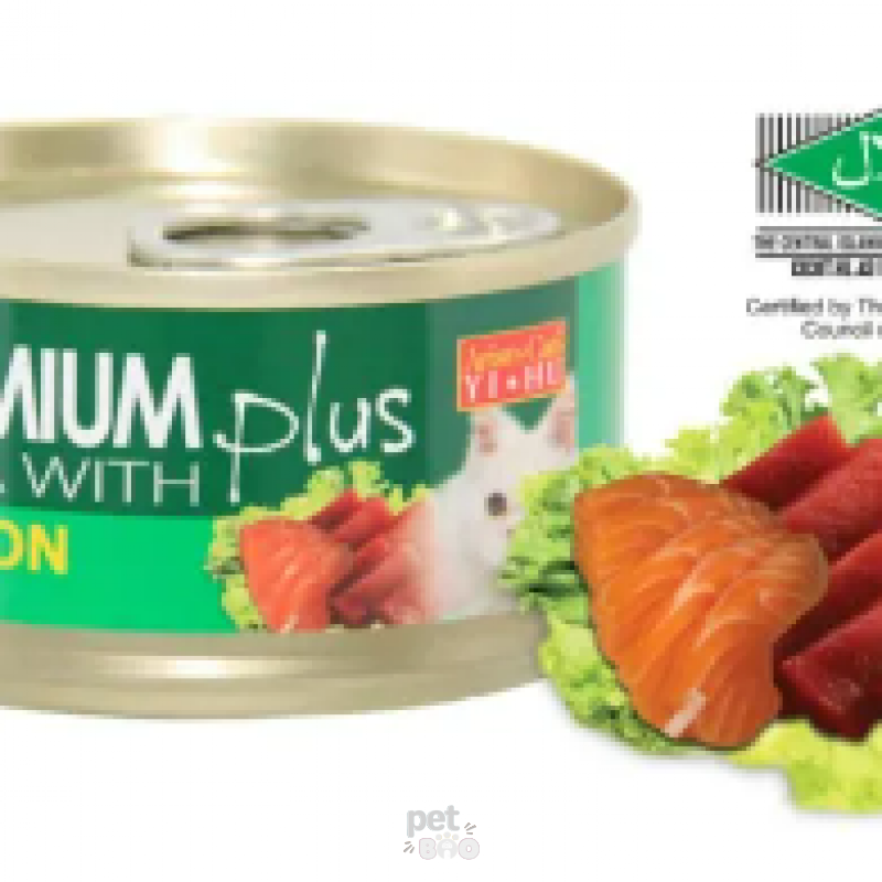 Tuna With Salmon