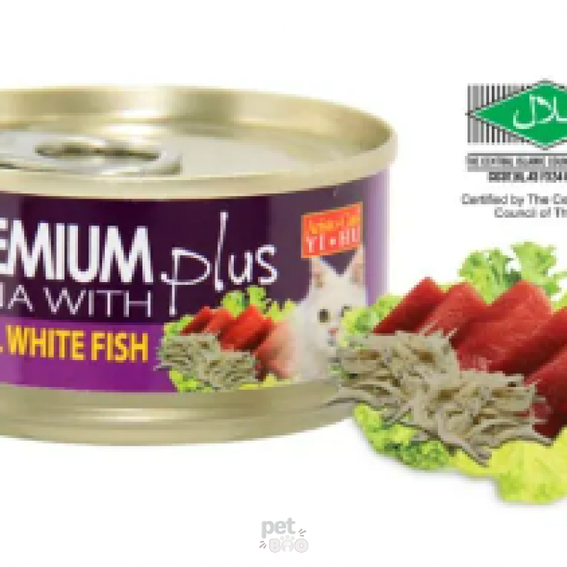 Tuna With Small White Fish